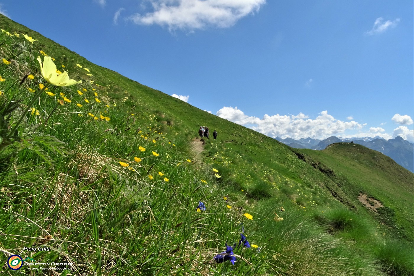 29 Procedo in piano sul sent. 101 panoramico sulla Valle Brembana.JPG